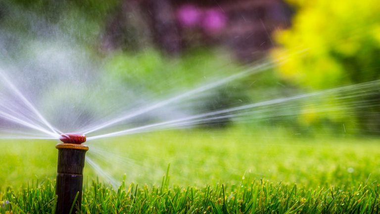 Niesky: Gereinigtes Wasser für Bewässerung