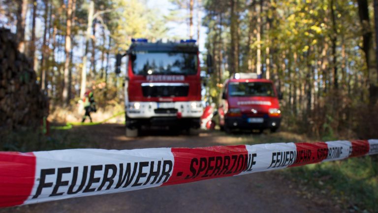 LK Bautzen / Mecklenburg-Vorpommern: Landkreis hilft bei Waldbrand