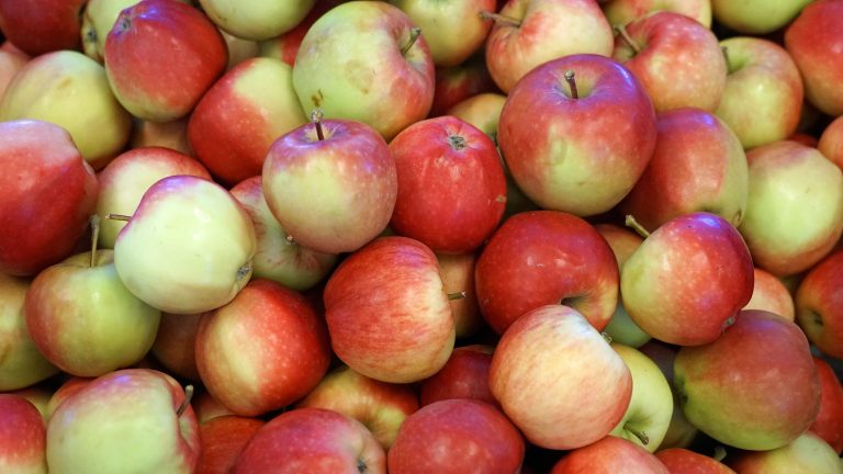 Bad Liebenwerda: Keine Obstannahme mehr bei Bauer Fruchtsaft