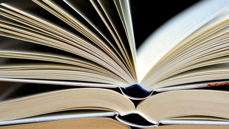 Radeberg: 15. Buchsommer wird eröffnet