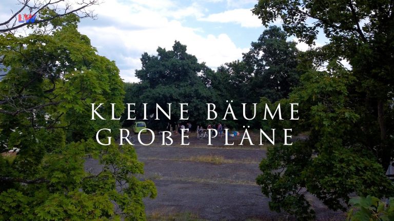Hoyerswerda: Kleine Bäume, große Pläne