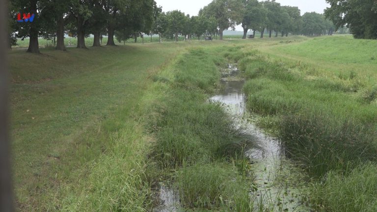 Lausitz: Niedrigwasser infolge der Trockenheit