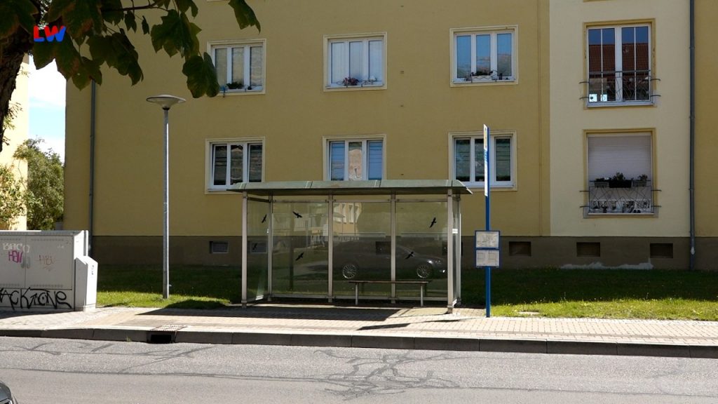 Lausitz: ZVVO investiert 1,5 Millionen Euro in modernen Nahverkehr