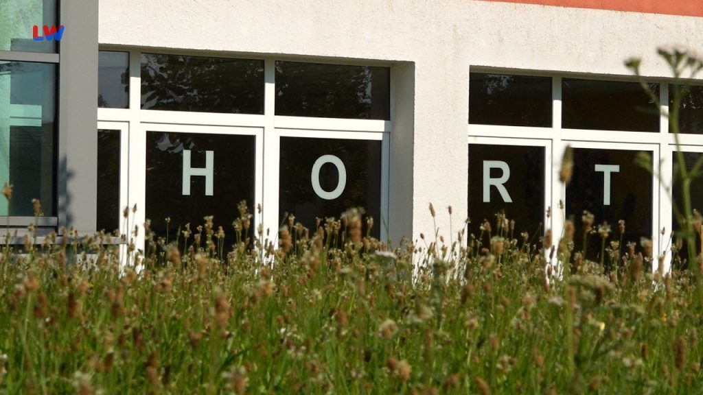 Ralbitz-Rosenthal: Bau des neuen Hortes hat begonnen