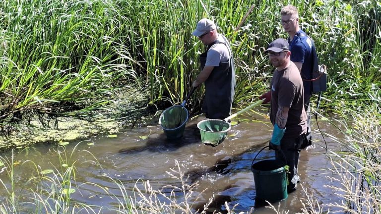 Hoyerswerda: Rettungsaktion Fisch