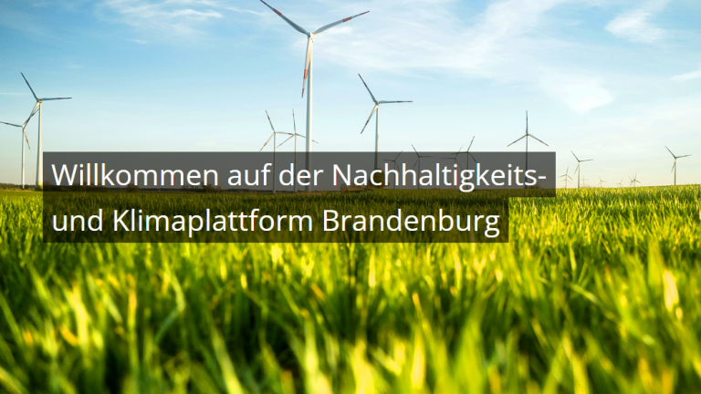 Brandenburg: Neue Nachhaltigkeits- und Klimaplattform geht online