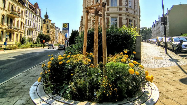 Görlitz: Neue Sitzgelegenheiten im Viktoriagarten und an der Schillerstraße