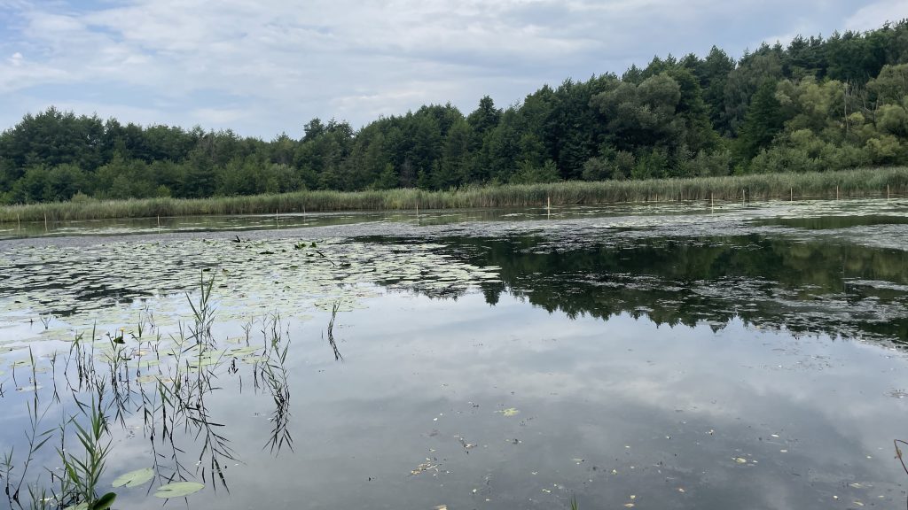 Spremberg OT Cantdorf: Startschuss für die Renaturierung des Wiesenteichs