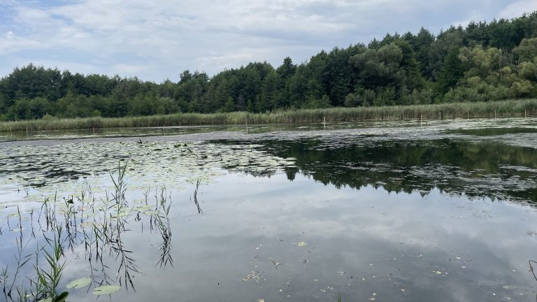 Spremberg OT Cantdorf: Startschuss für die Renaturierung des Wiesenteichs