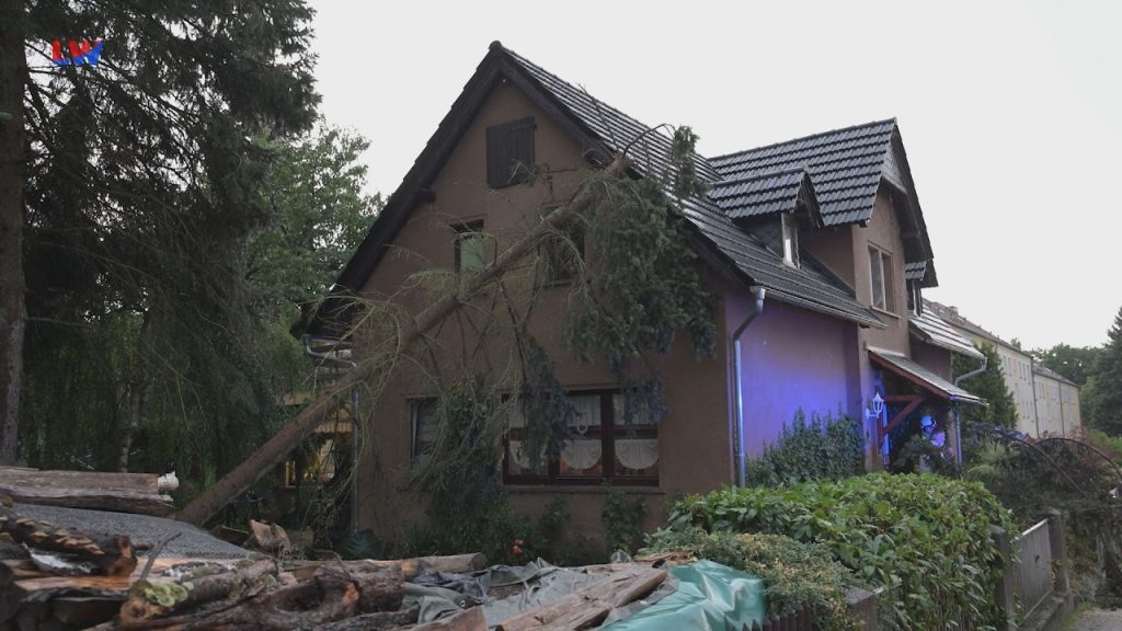 Ebersbach: Baum stürzt auf Haus