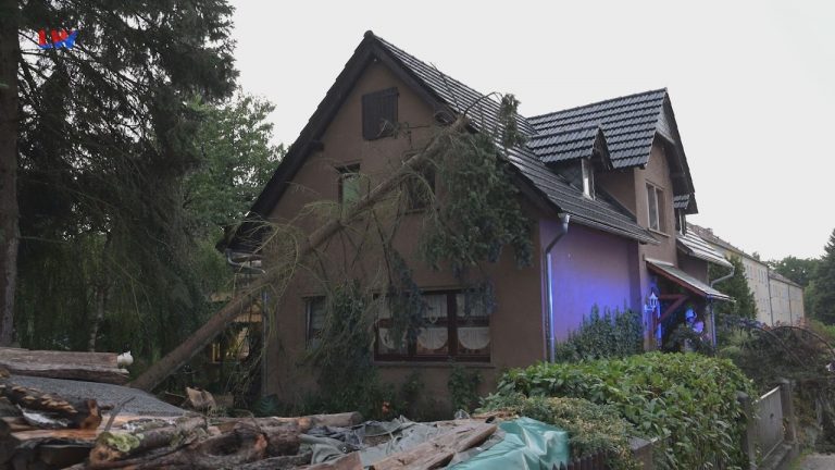 Ebersbach: Baum stürzt auf Haus
