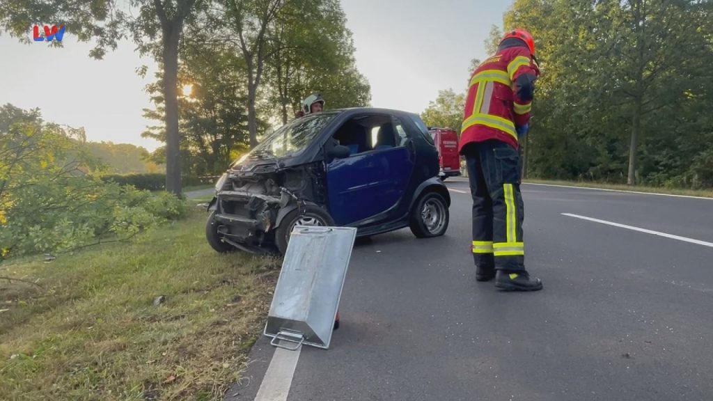Hoyerswerda: Gegen Baum gekracht