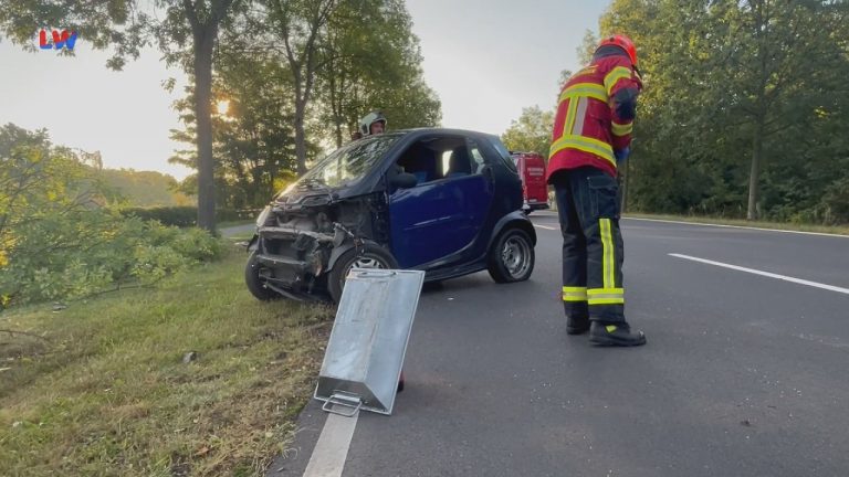 Hoyerswerda: Gegen Baum gekracht