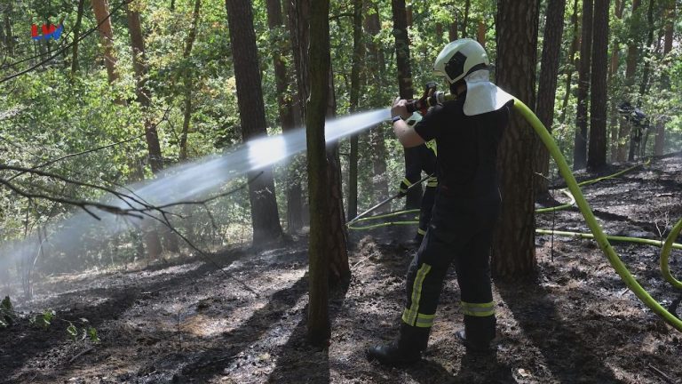 Oderwitz: Waldbrand am Eichberg