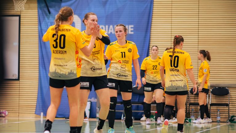 Großröhrsdorf/Mainz: Rödertalbienen unterliegen beim Auswärtsspiel