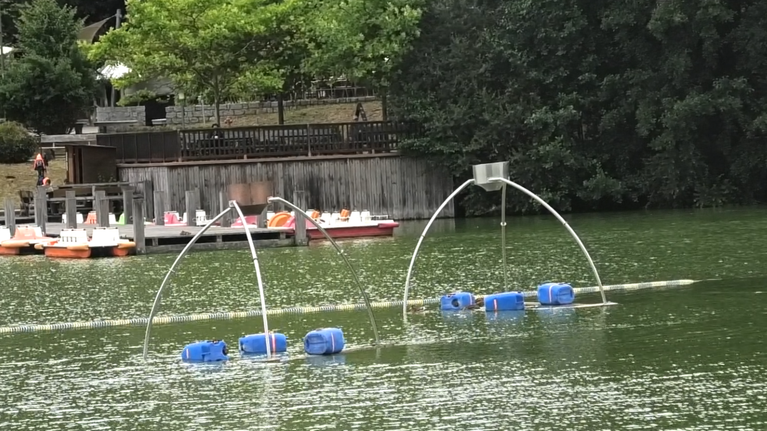 Sohland/Spree: Mit Belüftung gegen die Algenblüte