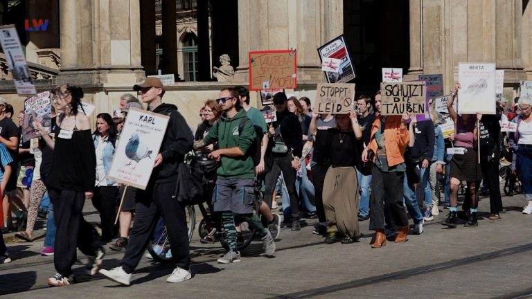 Dresden: Demonstration gegen Brieftaubensport