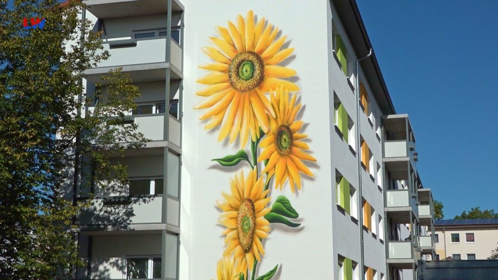 Hoyerswerda: Eine „Sonnenblume“ mitten in der Neustadt