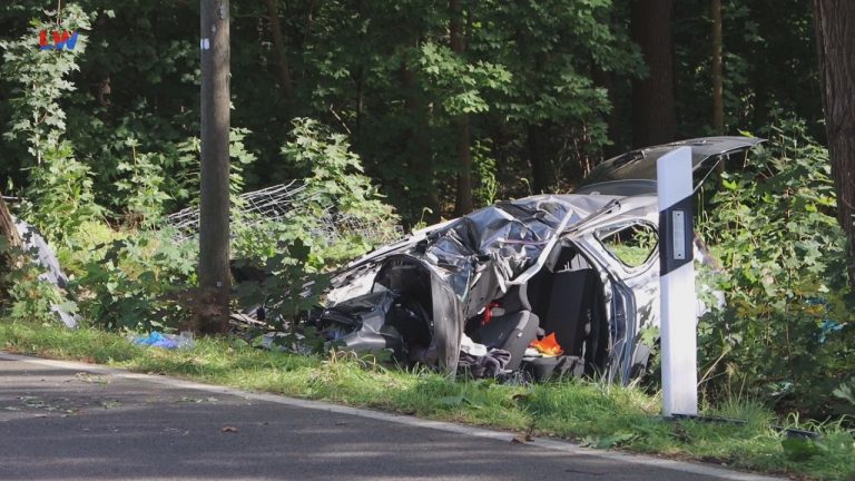 Wolfshain: Gegen Baum gekracht
