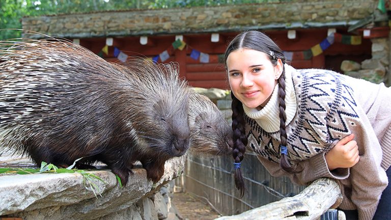 Görlitz/ Zgorzelec: Tierische Herbstferien