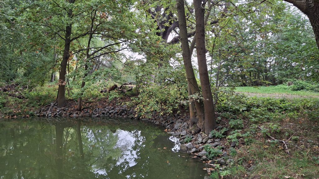 Malschwitz OT Niedergurig: Wer bezahlt den Wiederaufbau der Rieseneichen-Brücke?