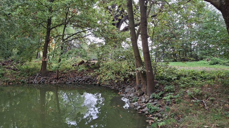 Malschwitz OT Niedergurig: Wer bezahlt den Wiederaufbau der Rieseneichen-Brücke?