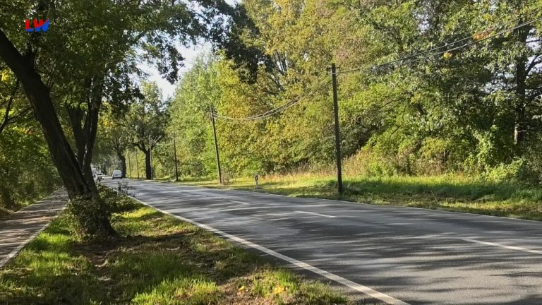 Königswartha: B 96 soll grundhaft ausgebaut werden
