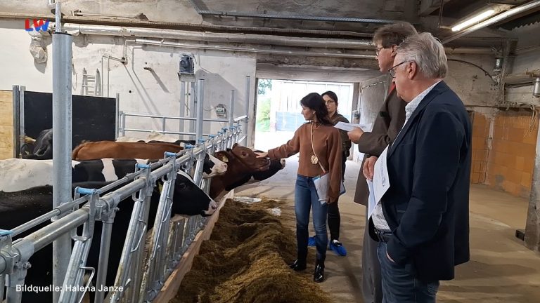 Sachsen: Landwirtschaftliche Betriebe im Vordergrund